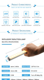 Motion Sensor LED Light