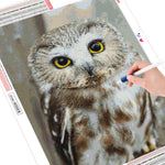 Owl Beauty - Diamond Painting Kit