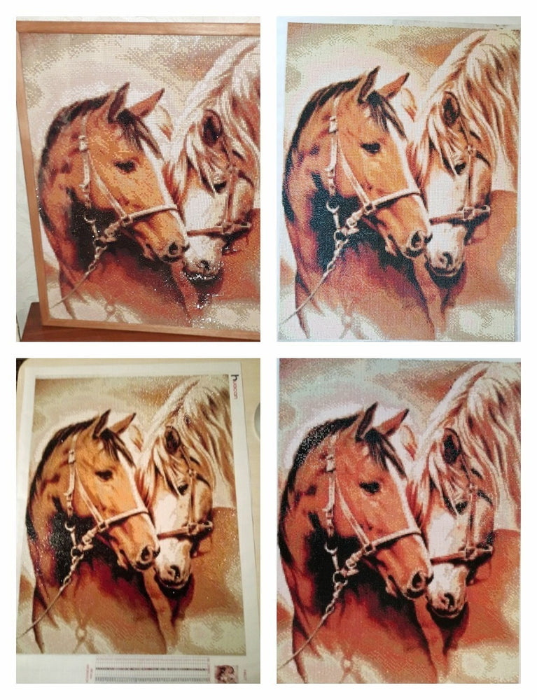 Horse Couple - Diamond Painting Kit