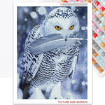 Owl With Feather - Diamond Painting Kit