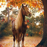 Autumn Horse - Diamond Painting Kit
