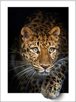 3D Leopard - Diamond Painting Kit – Stiylo