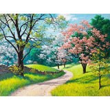 Cherry Blossoms Road - Paint By Number Kit