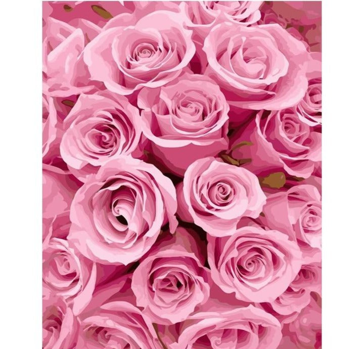 Pink Roses - Paint By Number Kit
