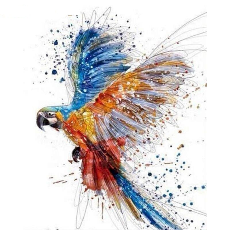 Flying Parrot - Paint By Number Kit