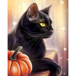 Cat Pumpkin  - Paint By Number Kit