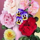 Pink In Flowers- Diamond Painting Kit