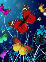 Butterfly In Full Splendor   - Paint By Number Kit
