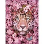 Leopard Behind Pink - Paint By Number Kit