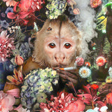 Smoking Monkey - Paint By Number Kit