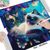 Cat On A Sling  - Diamond Painting Kit