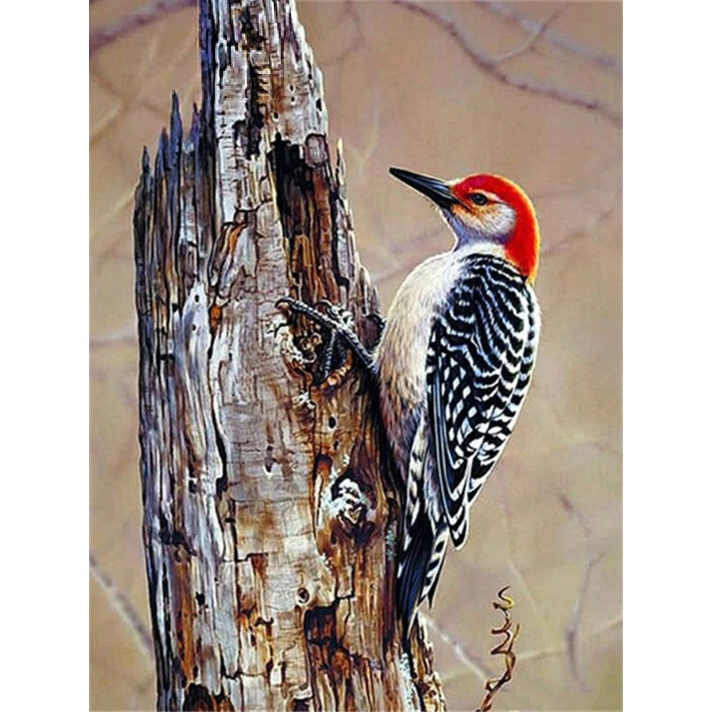 Bird On Tree Trunk - Diamond Painting Kit