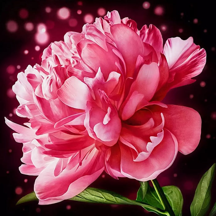 Blooming Peony Diamond Painting Kit