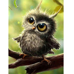 Cute owl Diamond painting kit