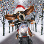 Dog Riding Bike - Diamond Painting Kit