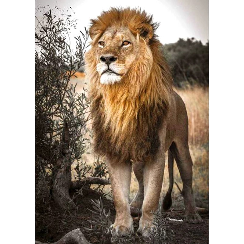 Majestic Lion - Diamond Painting Kit