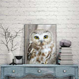 Owl Beauty - Diamond Painting Kit
