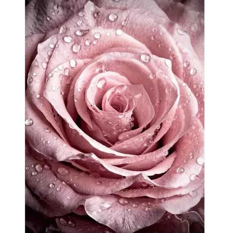 Pink Rose Diamond Painting Kit