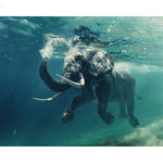 Undersea Swimming Elephant - Paint By Number Kit