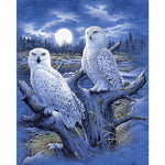 White Owl - Diamond Painting Kit