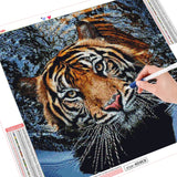 Swimming Tiger - Diamond Painting Kit