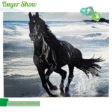 Running Black Horse - Diamond Painting Kit