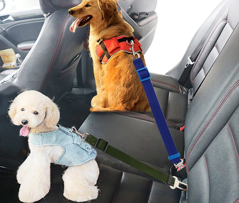 Pet Car Seat Belt