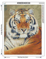 Tiger Portrait - Diamond Painting Kit