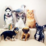 Customized Photo PET Pillow