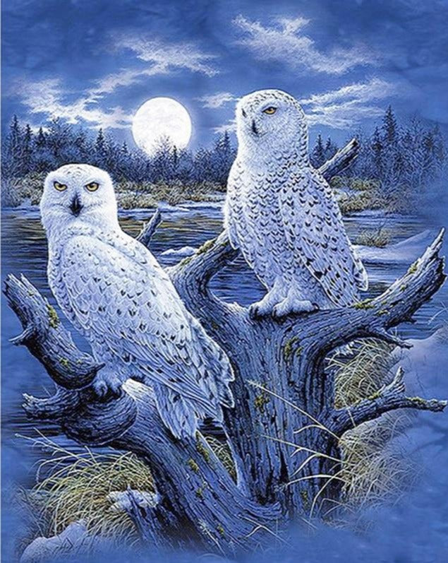 Animal Diamond Painting , Bird Diamond Painting