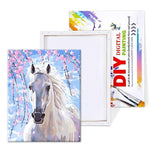 White Horse - Paint By Number Kit