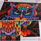 Rainbow Owl - Diamond Painting Kit
