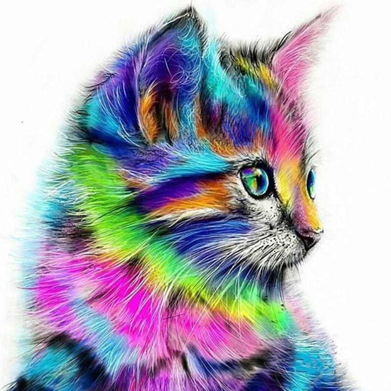 Rainbow Cat - Paint By Number Kit