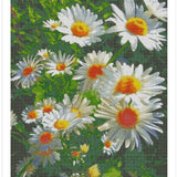Daisy Flower - Diamond Painting Kit