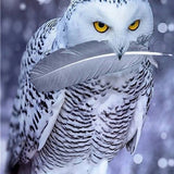 Owl With Feather - Diamond Painting Kit