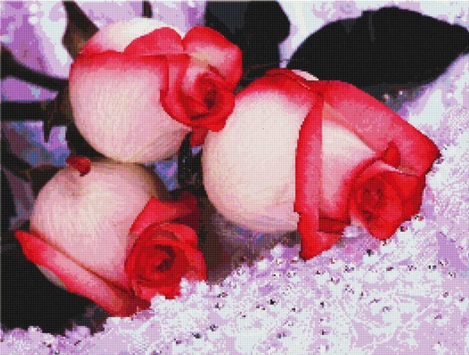 Three Rosebuds - Diamond Painting Kit