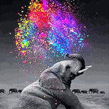Elephant Rainbow Spark - Paint By Number Kit