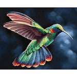 Hummingbird - Diamond Painting Kit