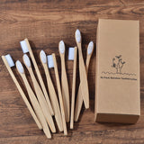 Eco-Friendly Bamboo Toothbrush