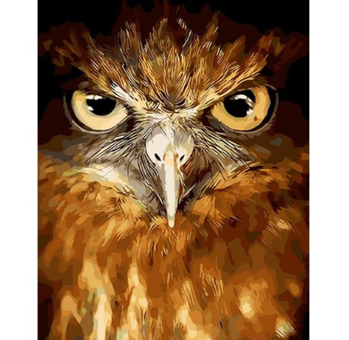 Eagle Gaze - Painting By Number Kit