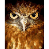 Eagle Gaze - Painting By Number Kit