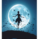 Fairy Dance In Moonlight - Paint By Number Kit