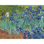 Van Gogh's Irises - Paint By Number Kit
