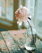 Flower In The Bottle - Paint By Number Kit