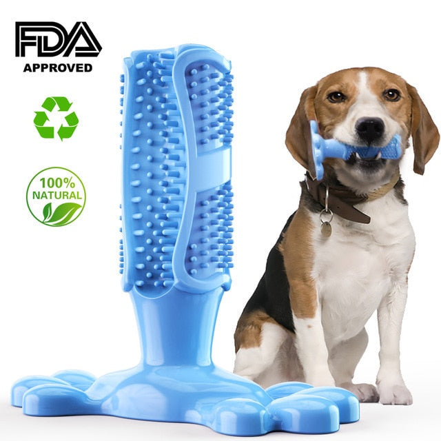 Dog Toothbrush & Toothpaste