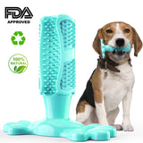 Dog Toothbrush & Toothpaste