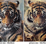 Regal Tiger - Diamond Painting Kit
