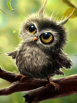 Cute Owl - Diamond Painting Kit