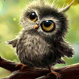 Cute Owl - Diamond Painting Kit
