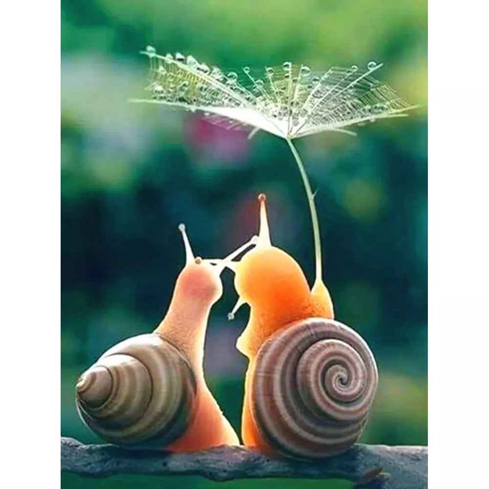 Snails Diamond Painting Kit